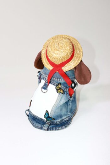 Butterfly Back Denim Vest