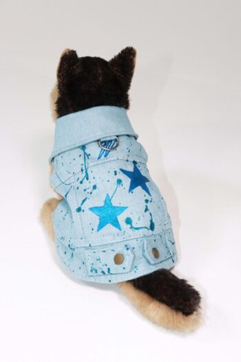 Blue Star Denim Vest